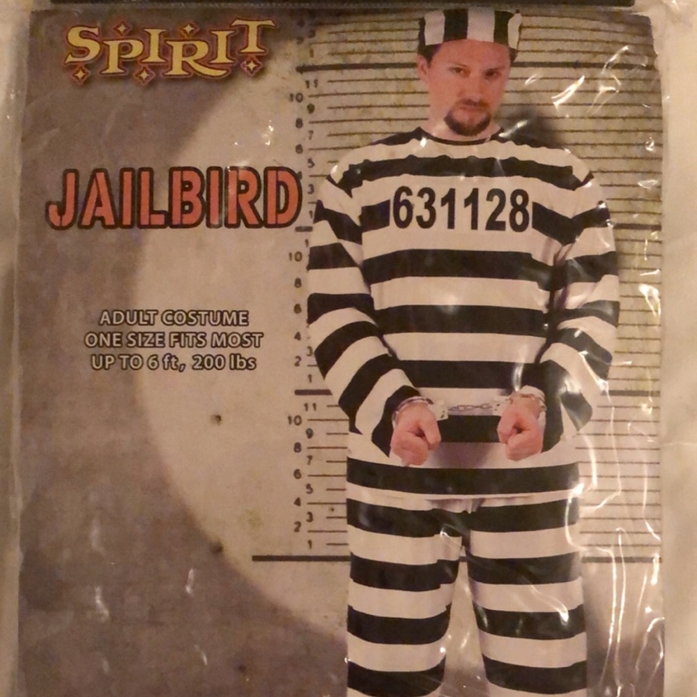 Jailbird Costume